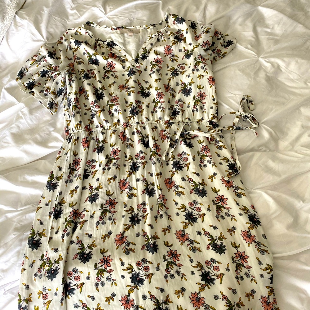 Loft Plus Dress - image 1